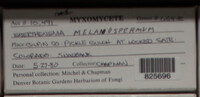 Image Associated With the Occurence